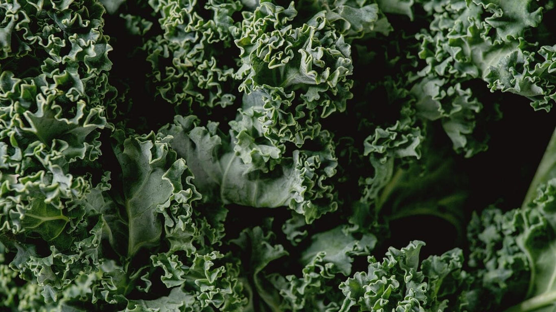 Kale 