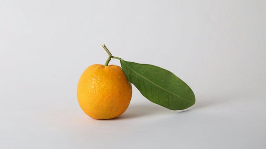 orange with stem and leaf 